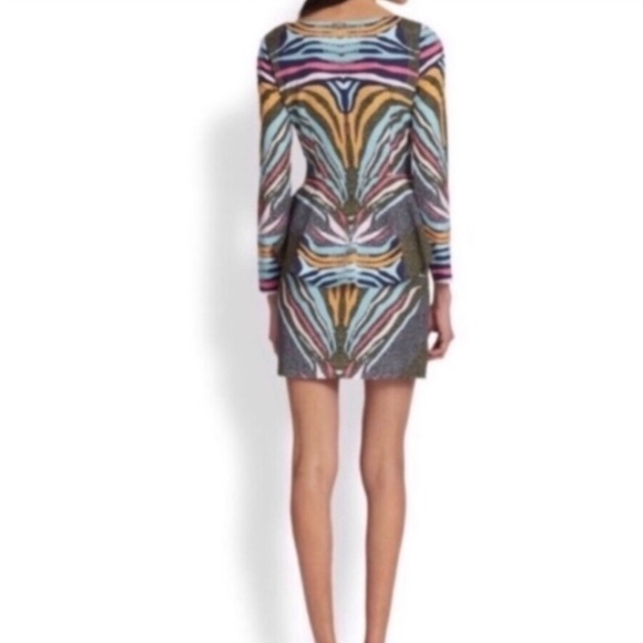Mara Hoffman Phoenix Zebra Print Peplum Dress - Picture 6 of 10